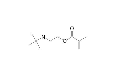 2-(tert-Butylamino)ethyl methacrylate