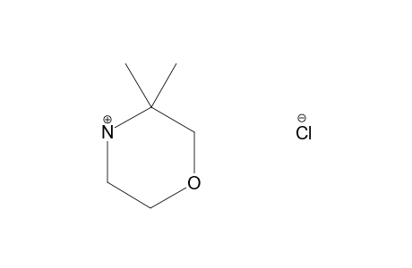 3,3-DIMETHYL-MORPHOLINE-HYDROCHLORIDE