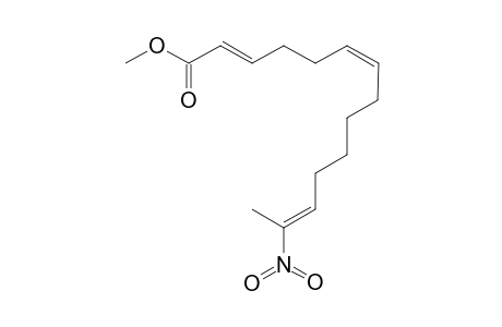 METHYL-(2E,6Z,12E)-13-NITROTETRADECA-2,6,12-TRIENOATE