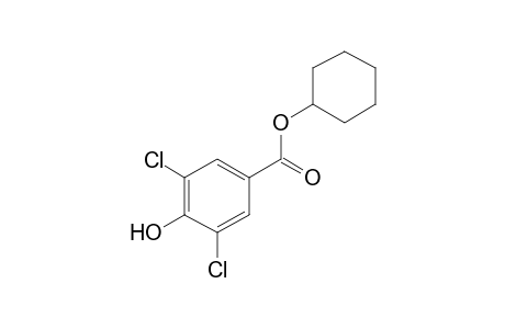 3,5-dichloro-4-hydroxybenzoic acid, cyclohexyl ester