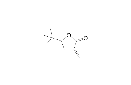 5-Tert-butyl-3-methylene-2-oxolanone