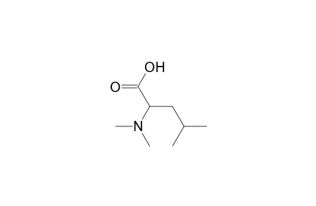 2-(dimethylamino)-4-methyl-pentanoic acid
