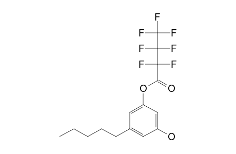 Phenol, 3-N-pentyl-5-heptafluorobutyryloxy-