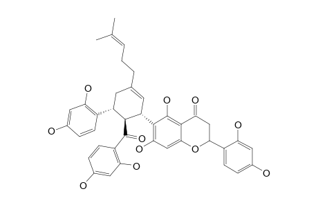 SANGGENON-G