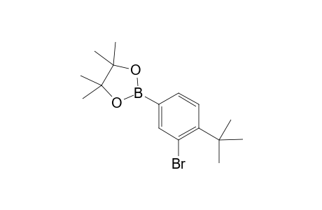 2-(3-Bromo-4-tert-butylphenyl)-4, 4, 5, 5-tetramethyl-1, 3, 2-dioxaborolane