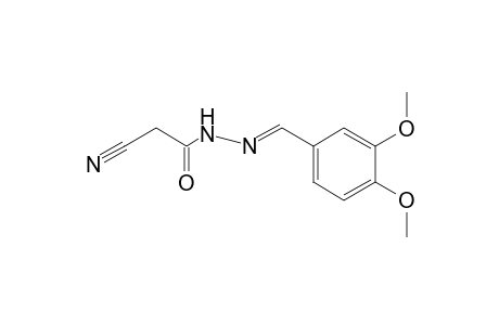 cyanoacetic acid, veratrylidenehydrazide