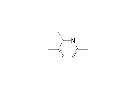 2,3,6-Trimethyl-pyridine