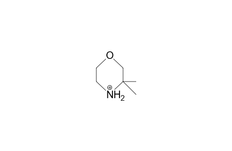 3,3-Dimethyl-morpholine cation