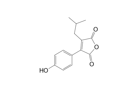 ANTROCINNAMOMIN_C;3-ISOBUTYL-4-(4-HYDROXYPHENYL)-FURAN-2,5-DIONE