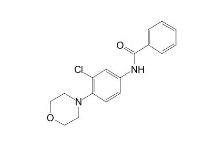 3'-chloro-4'-morpholinobenzanilide
