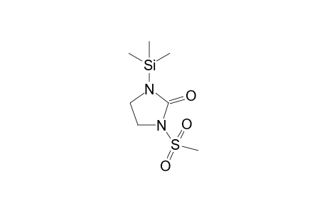 Mezlocilline-M/artifact TMS