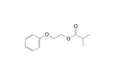 2-Phenoxyethyl isobutyrate