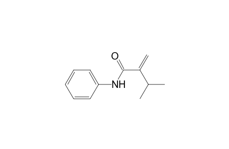 2-Isopropyl-N-phenylacrylamide