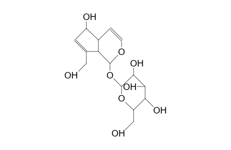 Aucubin