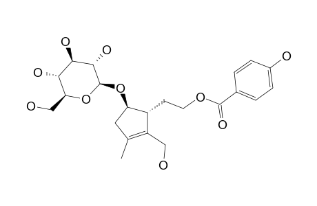 3-O-(4-HYDROXYBENZOYL)-10-DEOXYEUCOMMIOL-6-O-BETA-D-GLUCOPYRANOSIDE