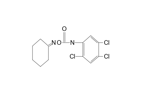 cyclohexanone, O-[(2,4,5-trichlorophenyl)carbamoyl]oxime