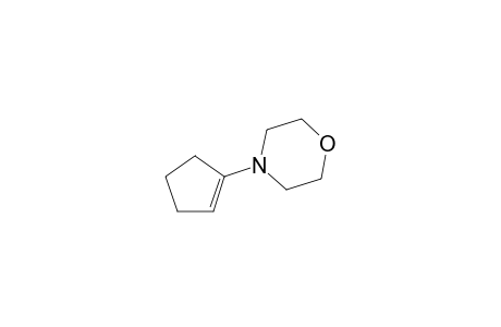 4-(1-Cyclopenten-1-yl)morpholine