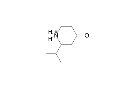 2-propan-2-ylpiperidin-1-ium-4-one