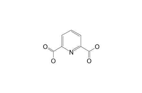 2,6-Pyridine dicarboxylic acid