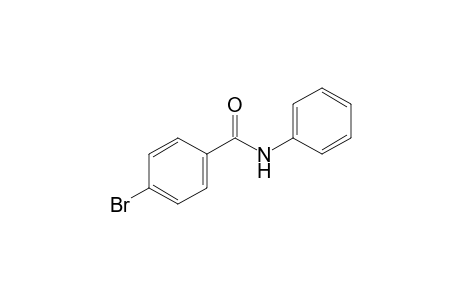 4-Bromanyl-N-phenyl-benzamide
