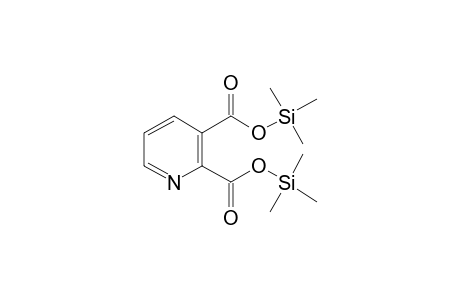 Quinolinic acid, di-TMS