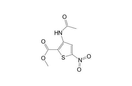 3-ACETAMIDO-5-NITRO-2-THIOPHENECARBOXYLIC ACID, METHYL ESTER