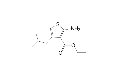 2-amino-4-(2-methylpropyl)-3-thiophenecarboxylic acid ethyl ester