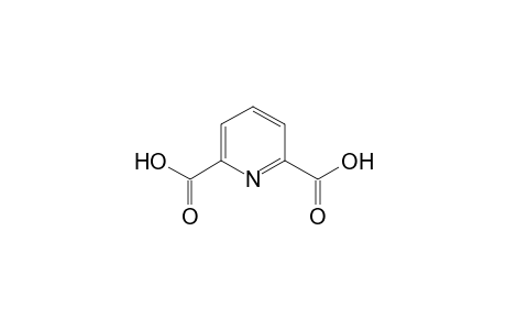 2,6-Pyridine dicarboxylic acid