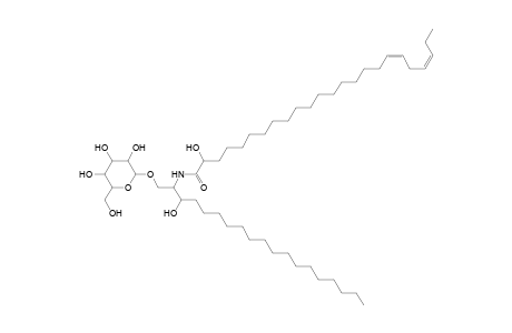 HexCer 19:0;2O/24:2;O