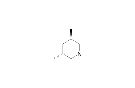 TRANS-3,5-DIMETHYLPIPERIDIN