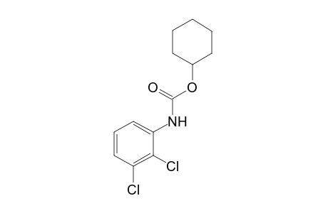 2,3-dichlorocarbanilic acid, cyclohexyl ester