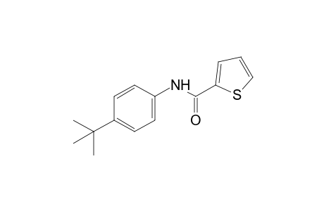 4'-tert-butyl-2-thiophenecarboxanilide