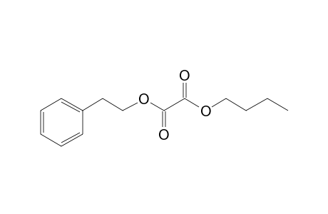 Oxalic acid, butyl 2-phenylethyl ester