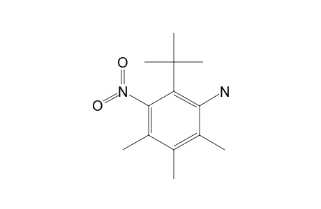 2-tert-butyl-3-nitro-4,5,6-trimethylaniline